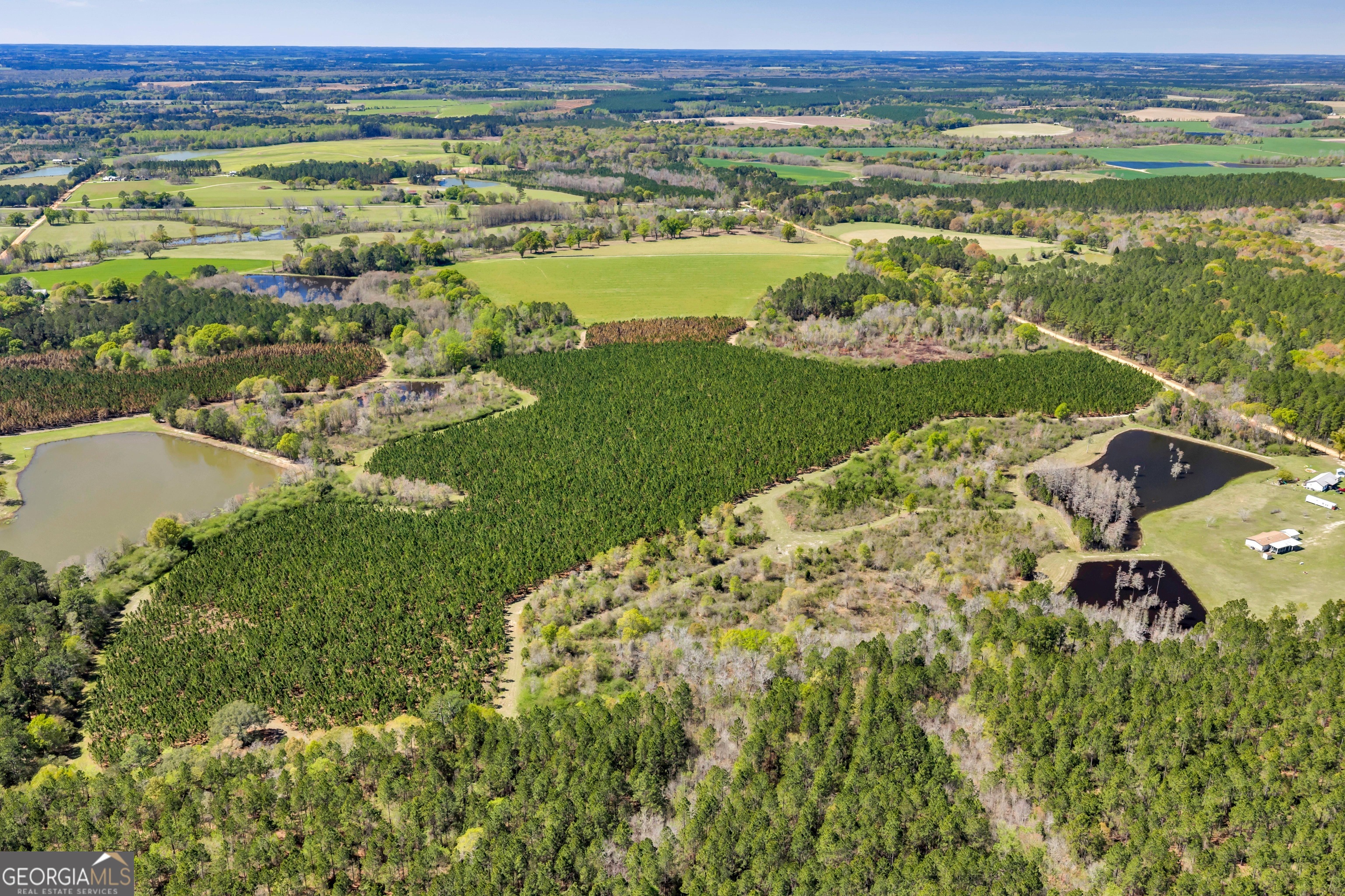 0 Taylor Road Fitzgerald, GA 31750 - Photo 7 of 28