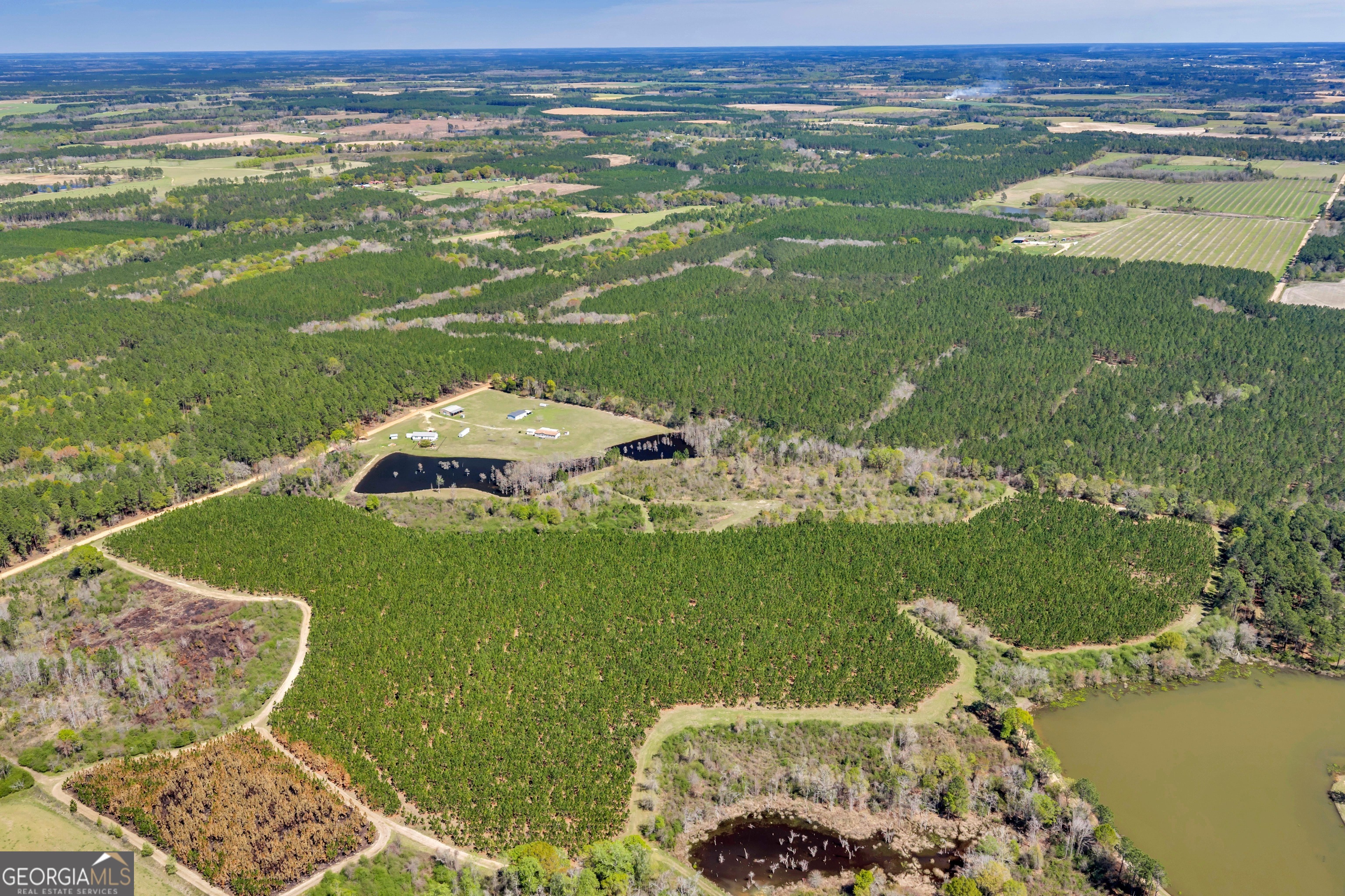 0 Taylor Road Fitzgerald, GA 31750 - Photo 8 of 28