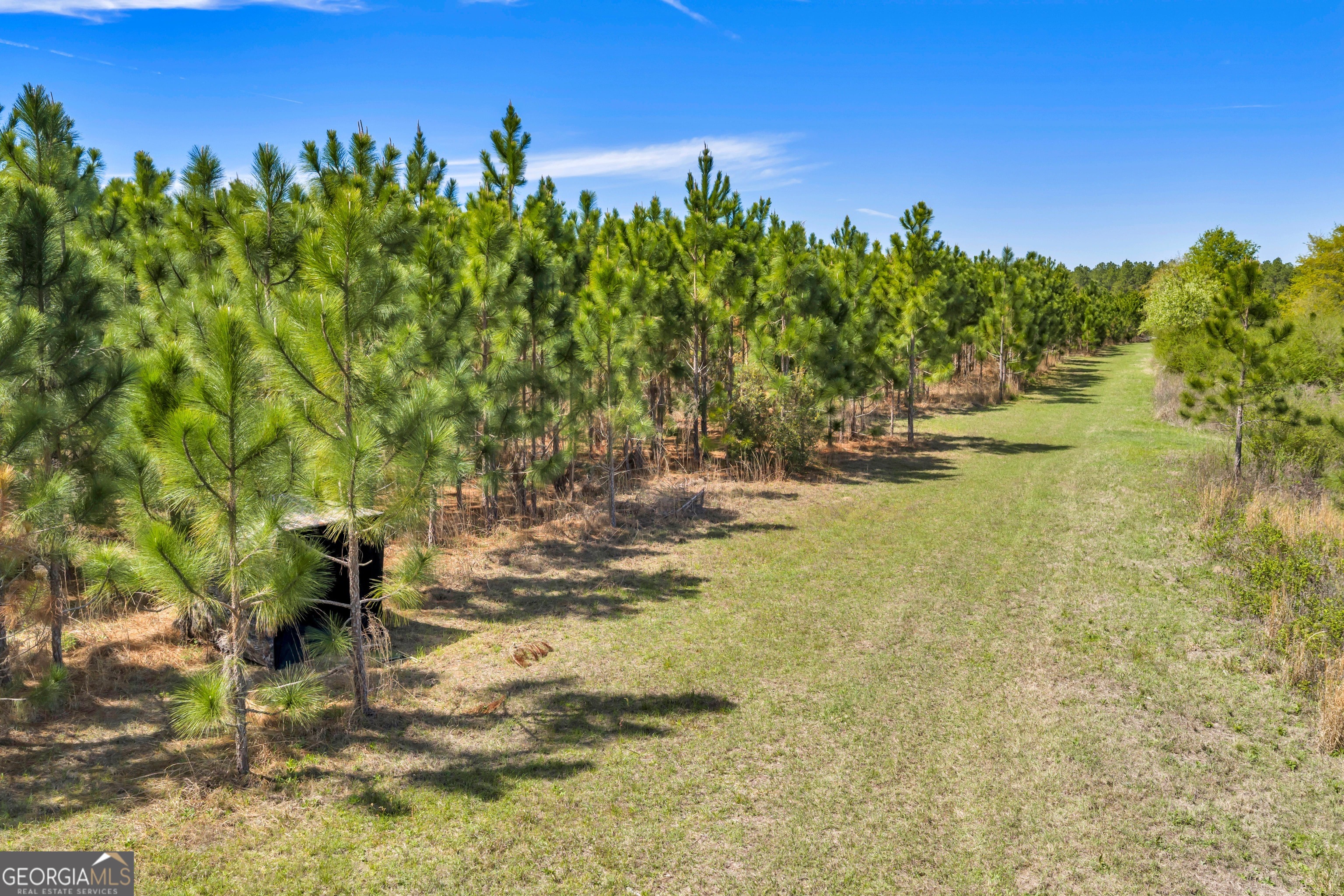 0 Taylor Road Fitzgerald, GA 31750 - Photo 9 of 28