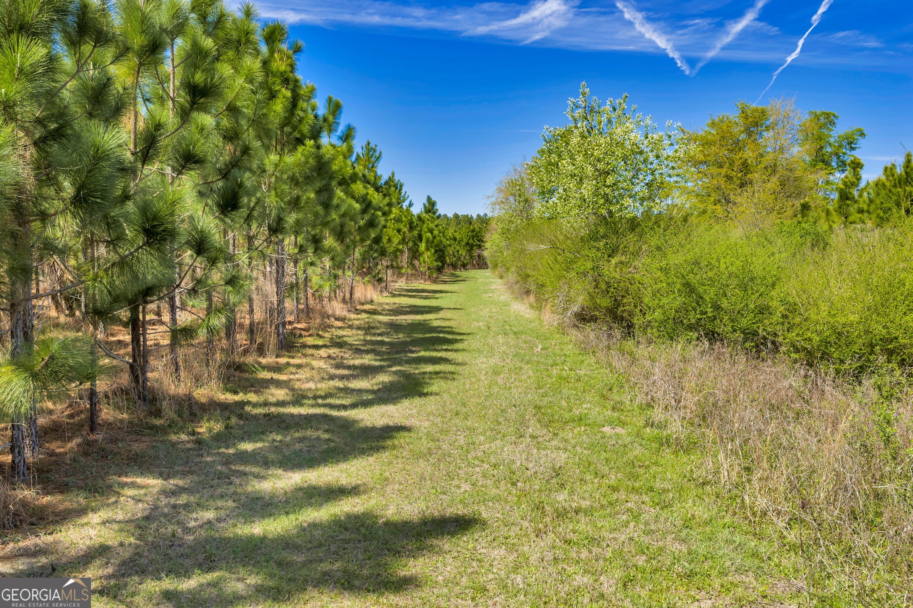 0 Taylor Road Fitzgerald, GA 31750 - Photo 10 of 28