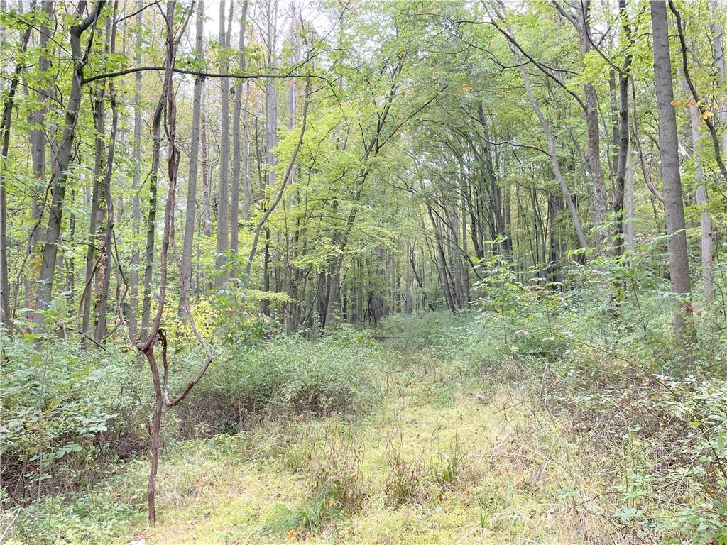 194 Conner School Road Wampum, PA 16157 - Photo 25 of 25 a view of outdoor space and a yard