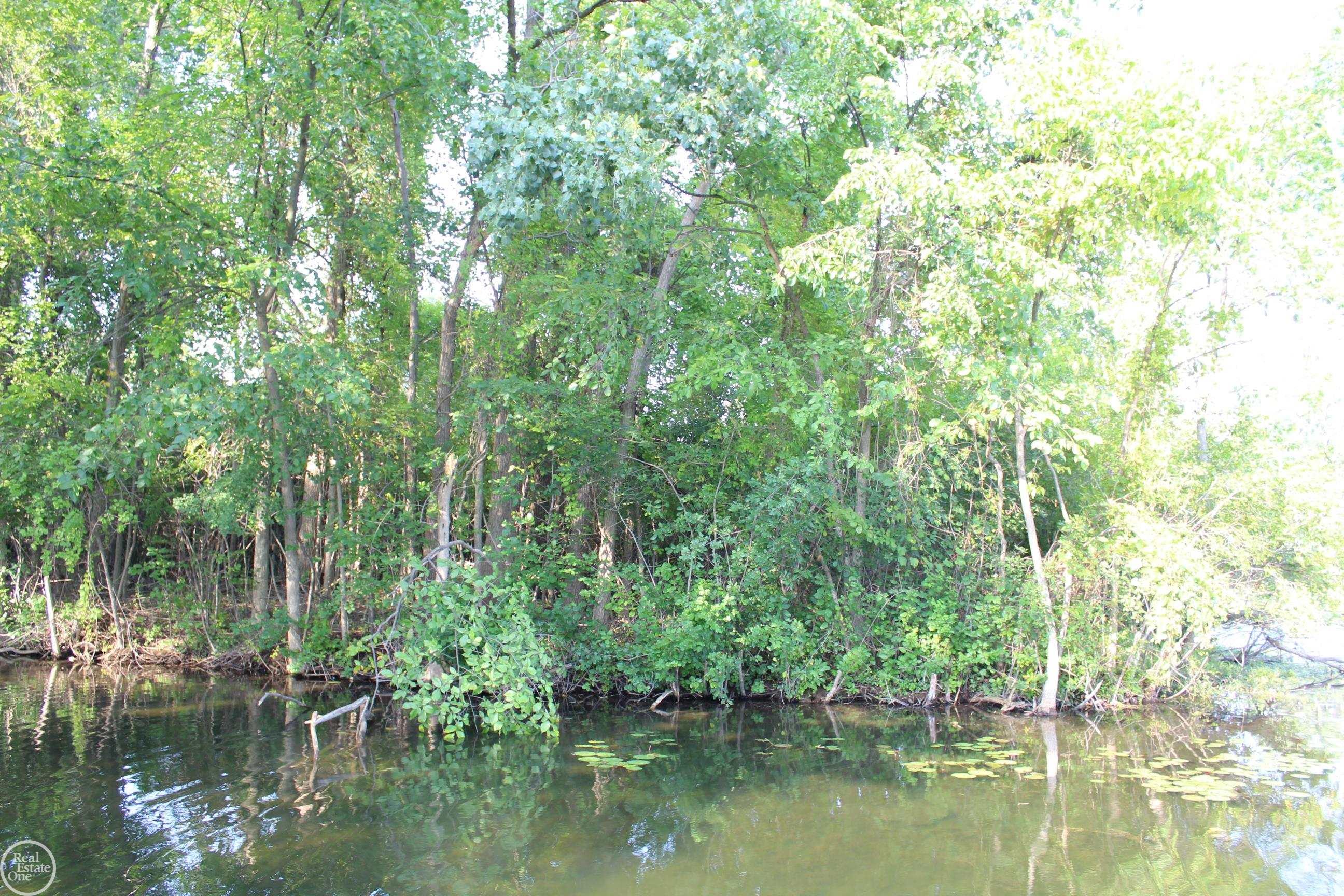 0 Cedar Island Road Ortonville, MI 48462 - Photo 4 of 8