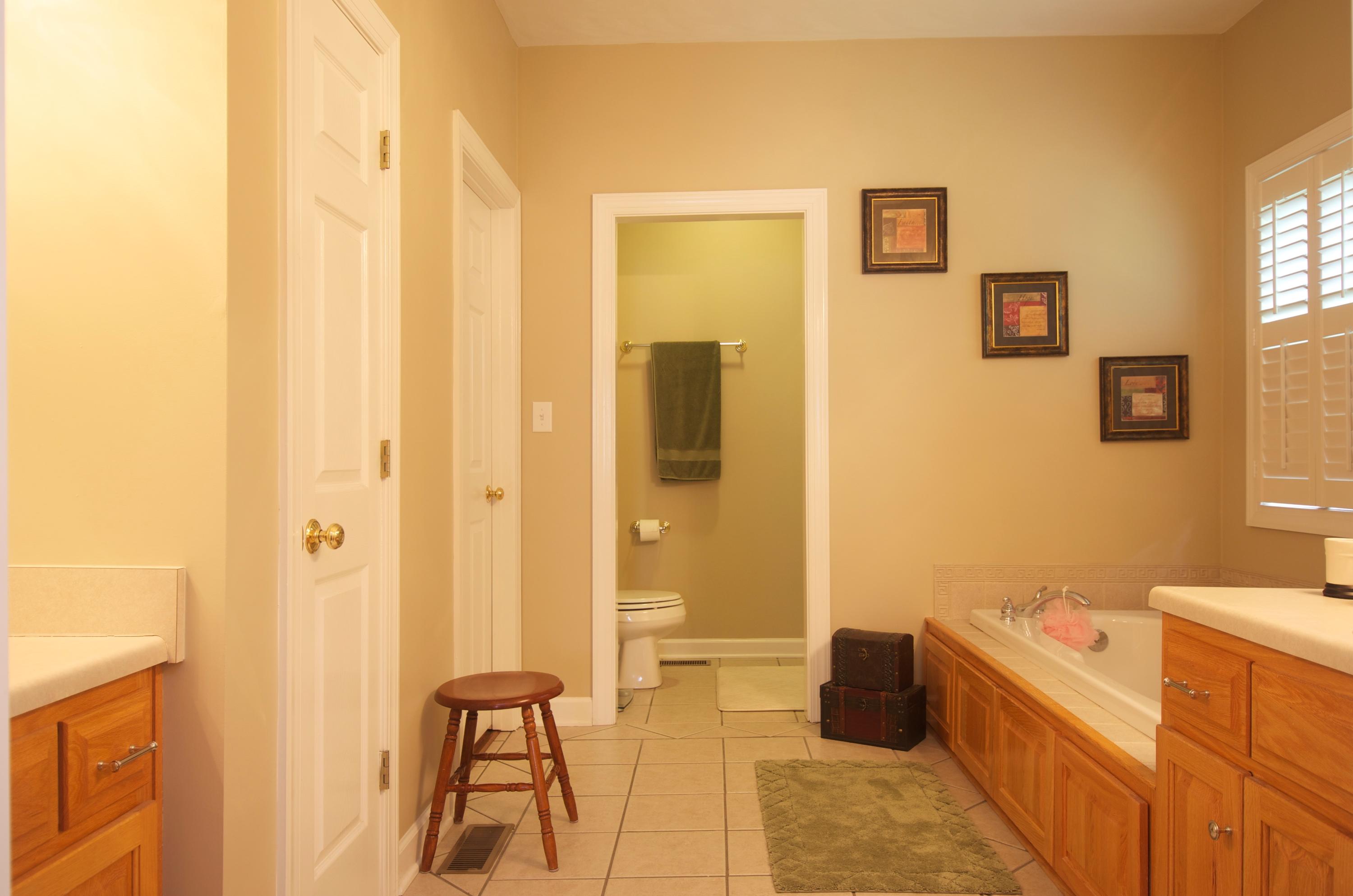 135 Chesney Place Blue Ridge, VA 24064 - Photo 25 of 69 Master Bathroom