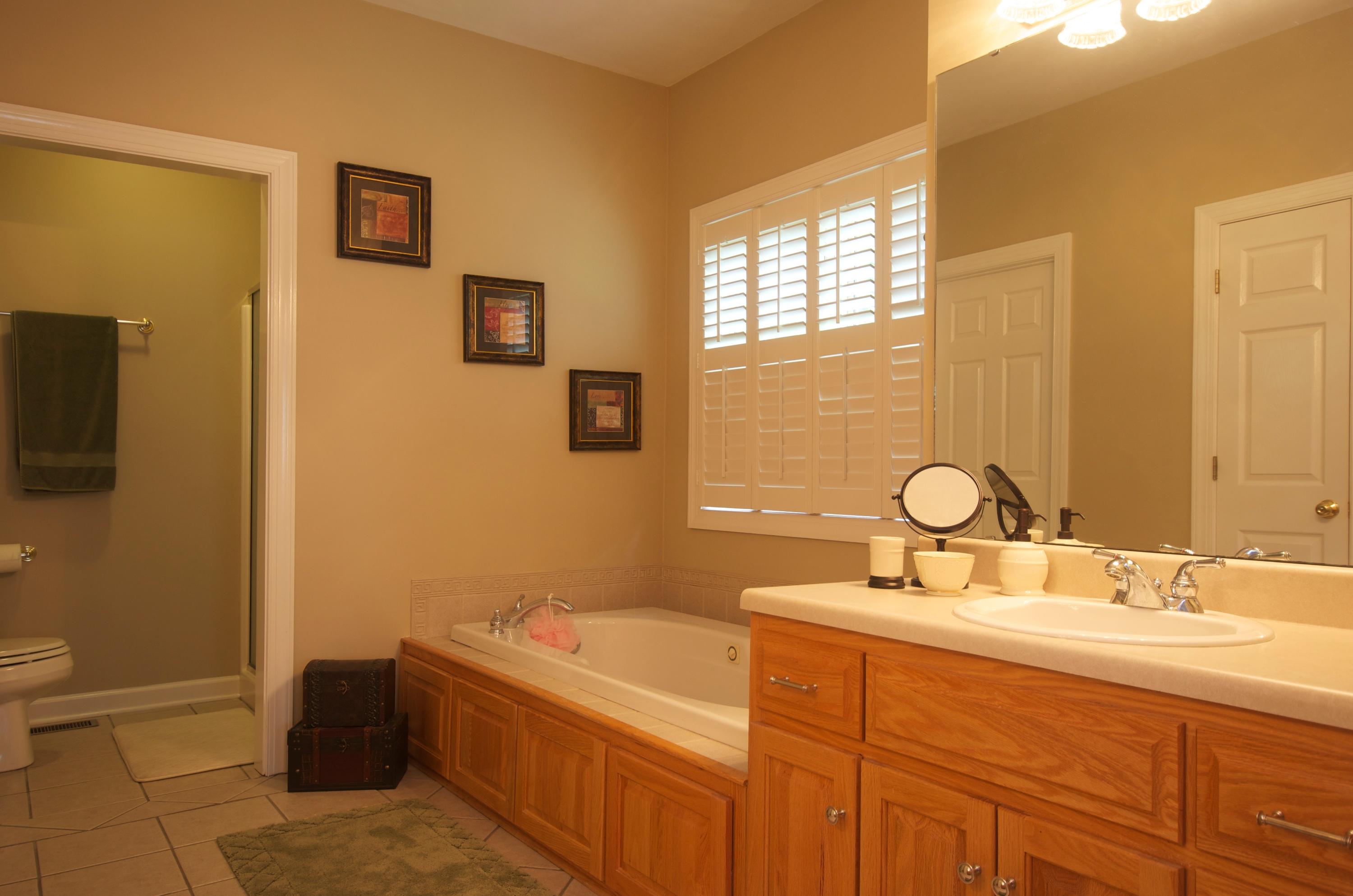 135 Chesney Place Blue Ridge, VA 24064 - Photo 26 of 69 Master Bathroom