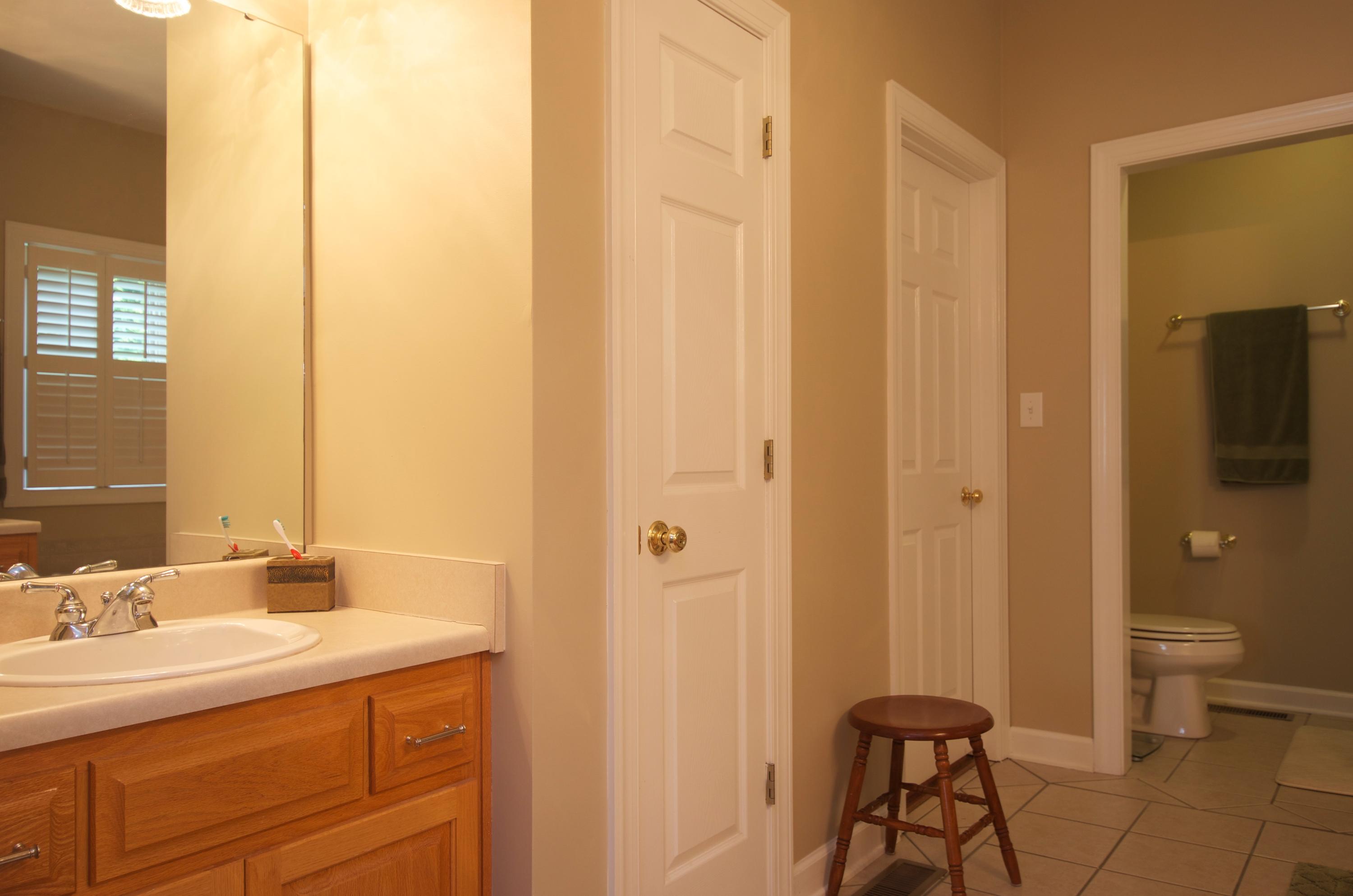 135 Chesney Place Blue Ridge, VA 24064 - Photo 27 of 69 Master Bathroom