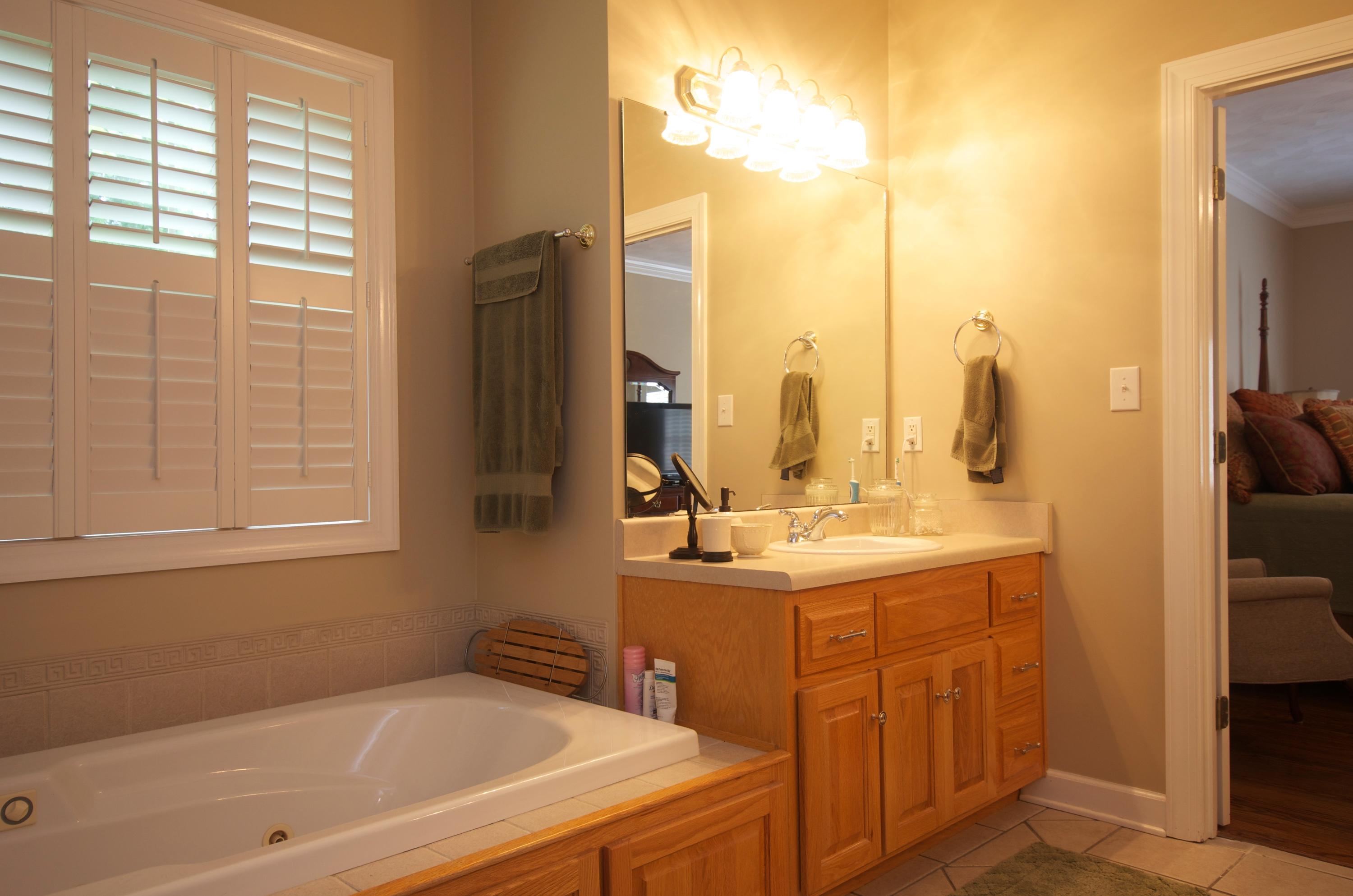 135 Chesney Place Blue Ridge, VA 24064 - Photo 28 of 69 Master Bathroom