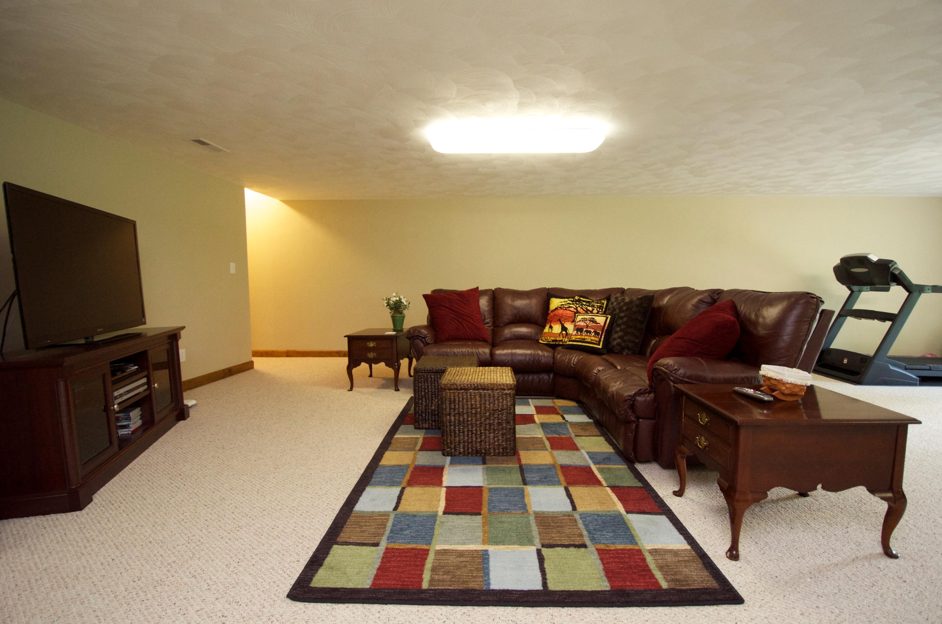 135 Chesney Place Blue Ridge, VA 24064 - Photo 33 of 69 Basement
