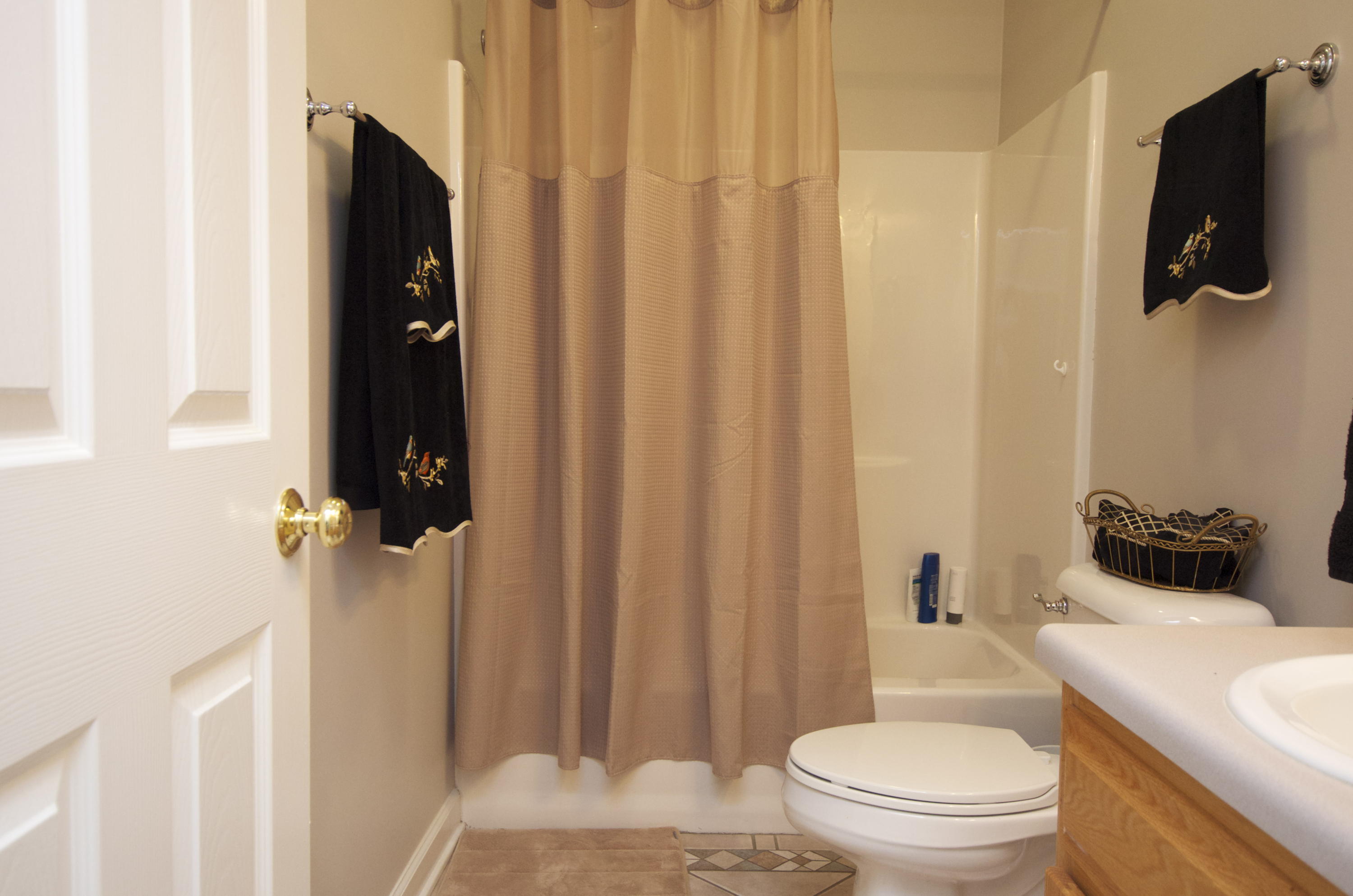 135 Chesney Place Blue Ridge, VA 24064 - Photo 41 of 69 Hall Bathroom