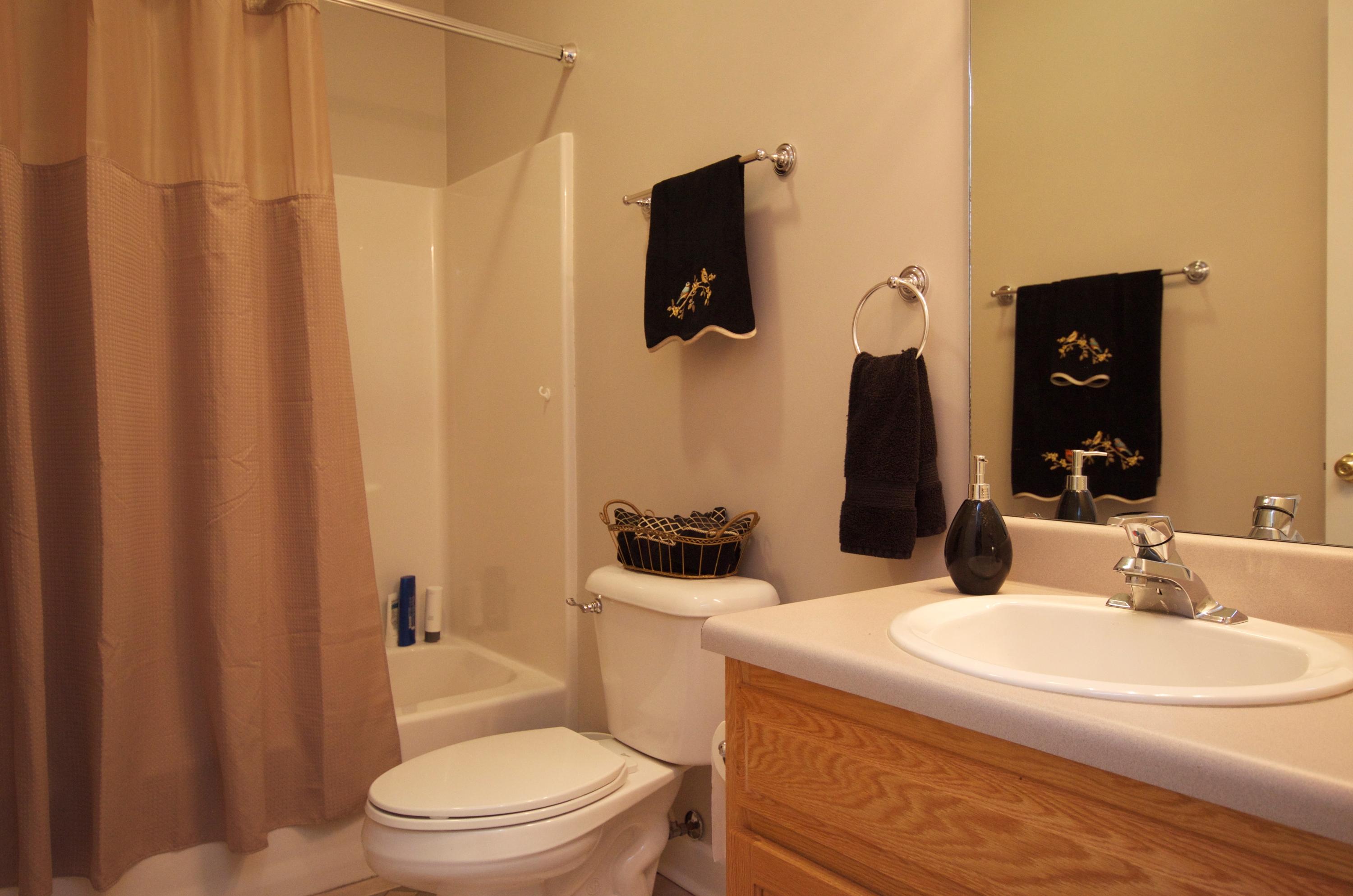 135 Chesney Place Blue Ridge, VA 24064 - Photo 42 of 69 Hall Bathroom