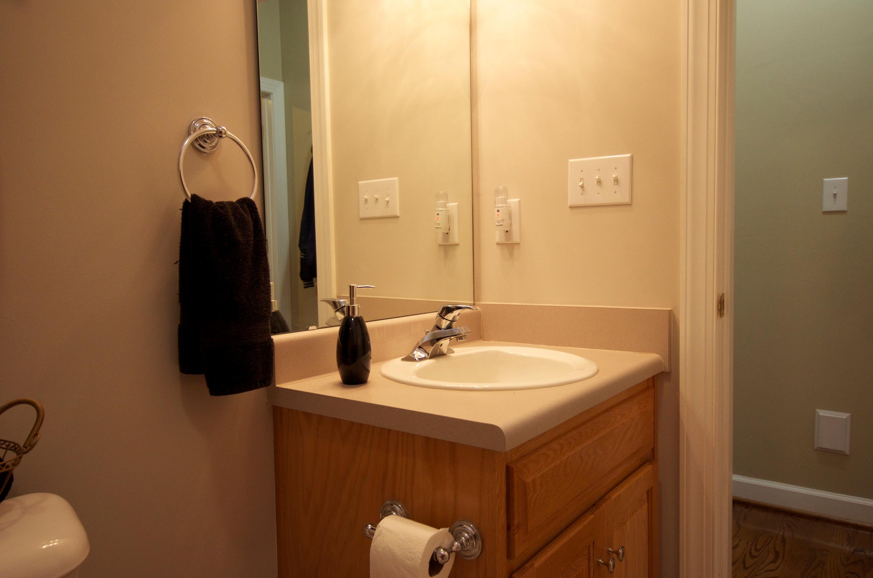 135 Chesney Place Blue Ridge, VA 24064 - Photo 43 of 69 Hall Bathroom