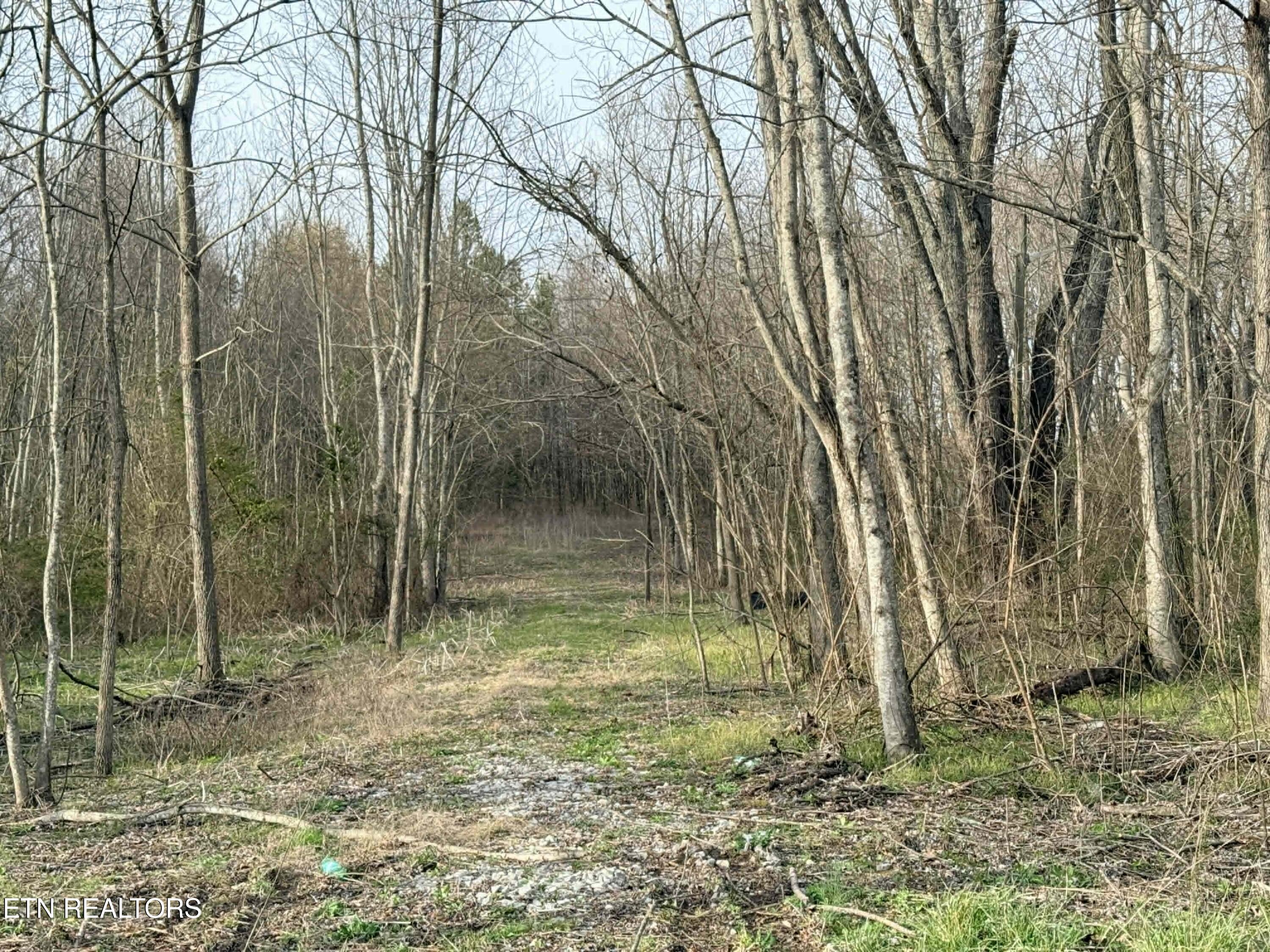 1115 Frank Campbell Road Jamestown, TN 38556 - Photo 2 of 6 117b6816-d90e-44ca-a5be-16306509bd8c