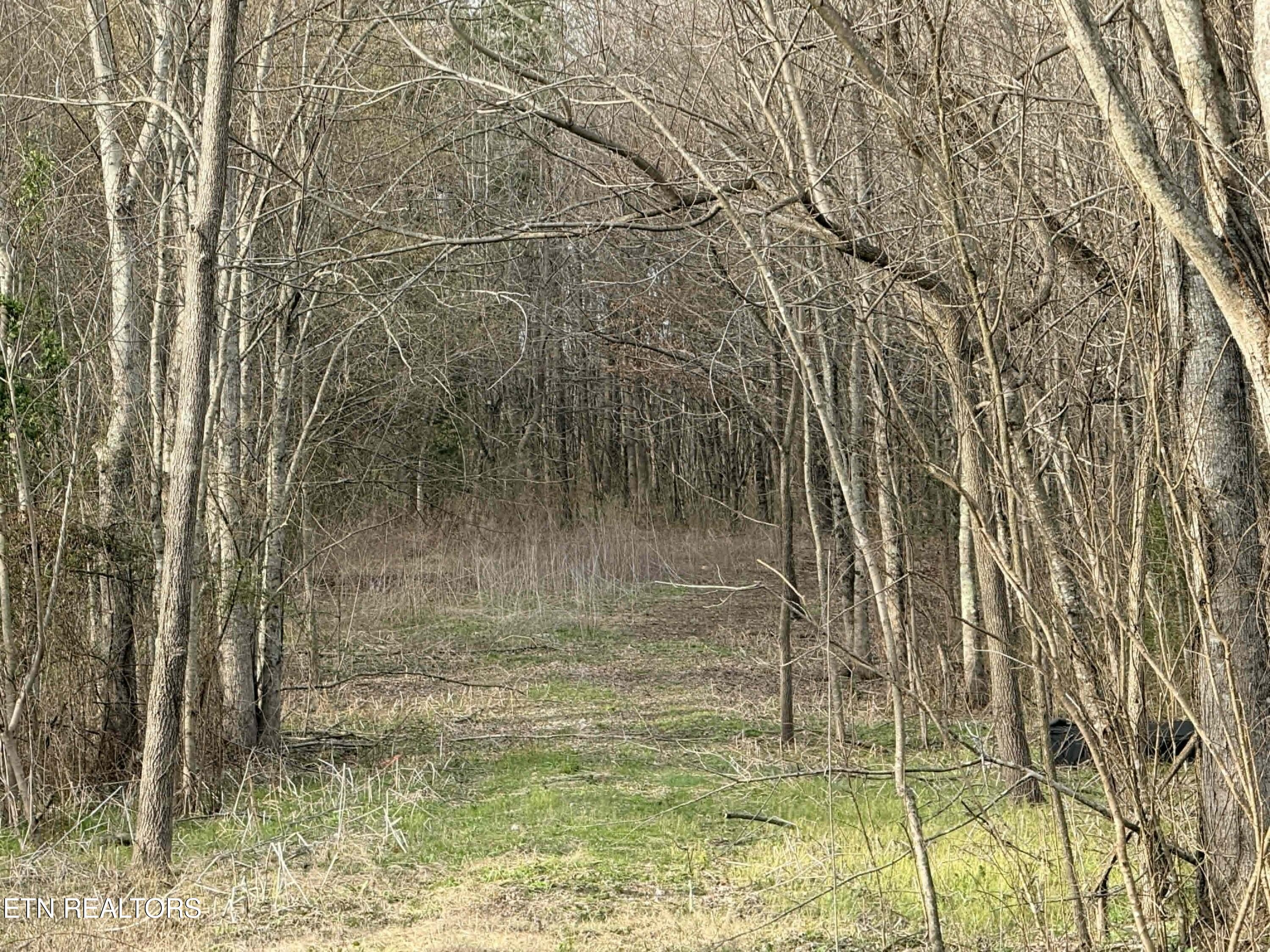 1115 Frank Campbell Road Jamestown, TN 38556 - Photo 3 of 6 88186d91-e377-4cb9-b677-17d4d8236808