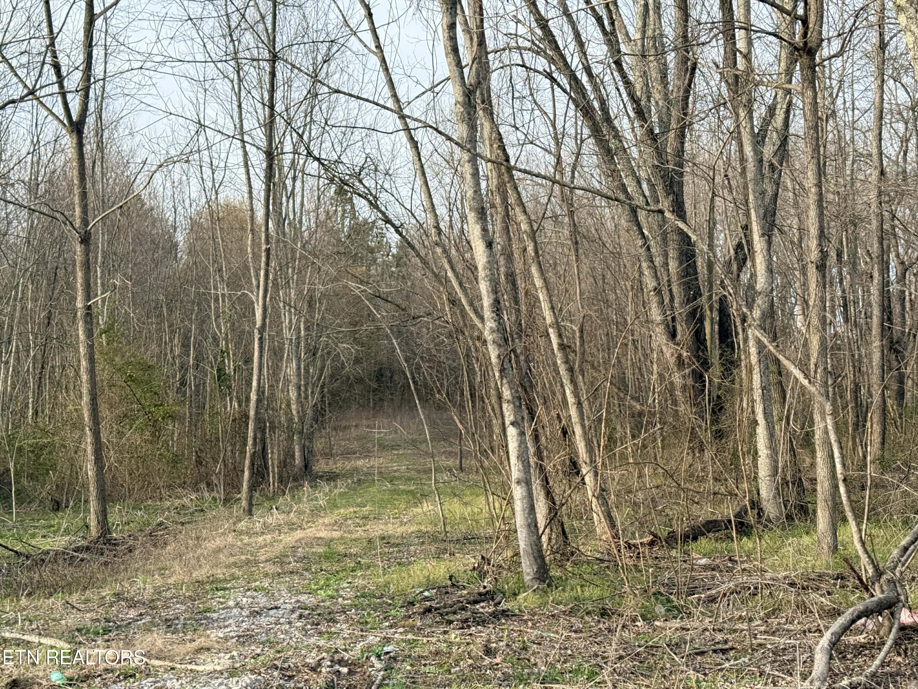1115 Frank Campbell Road Jamestown, TN 38556 - Photo 4 of 6 c825136b-dd85-4ed1-bfe6-6ec022ca7546