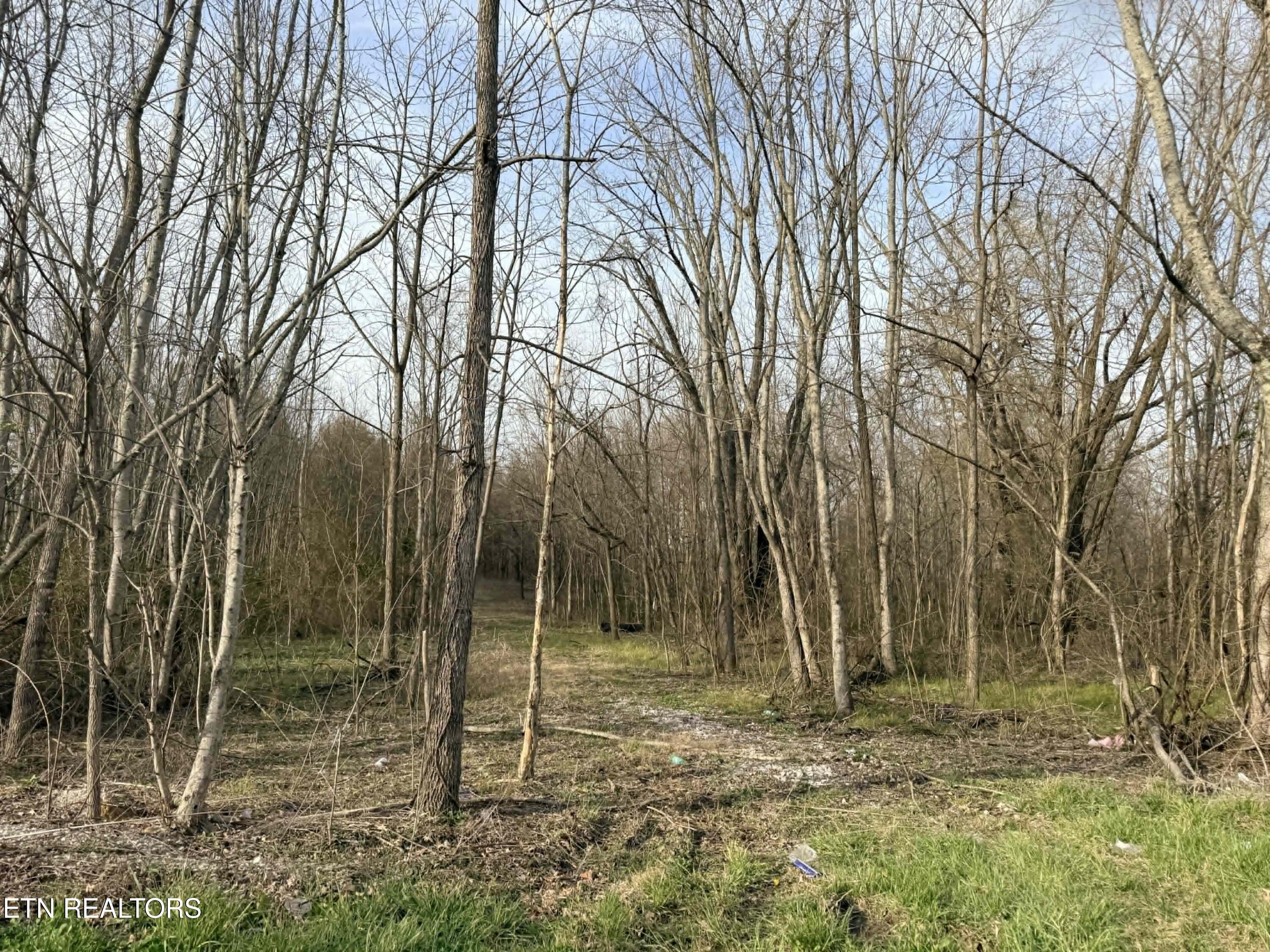 1115 Frank Campbell Road Jamestown, TN 38556 - Photo 5 of 6 df9815c5-1c25-426e-9883-ad92385da1c7