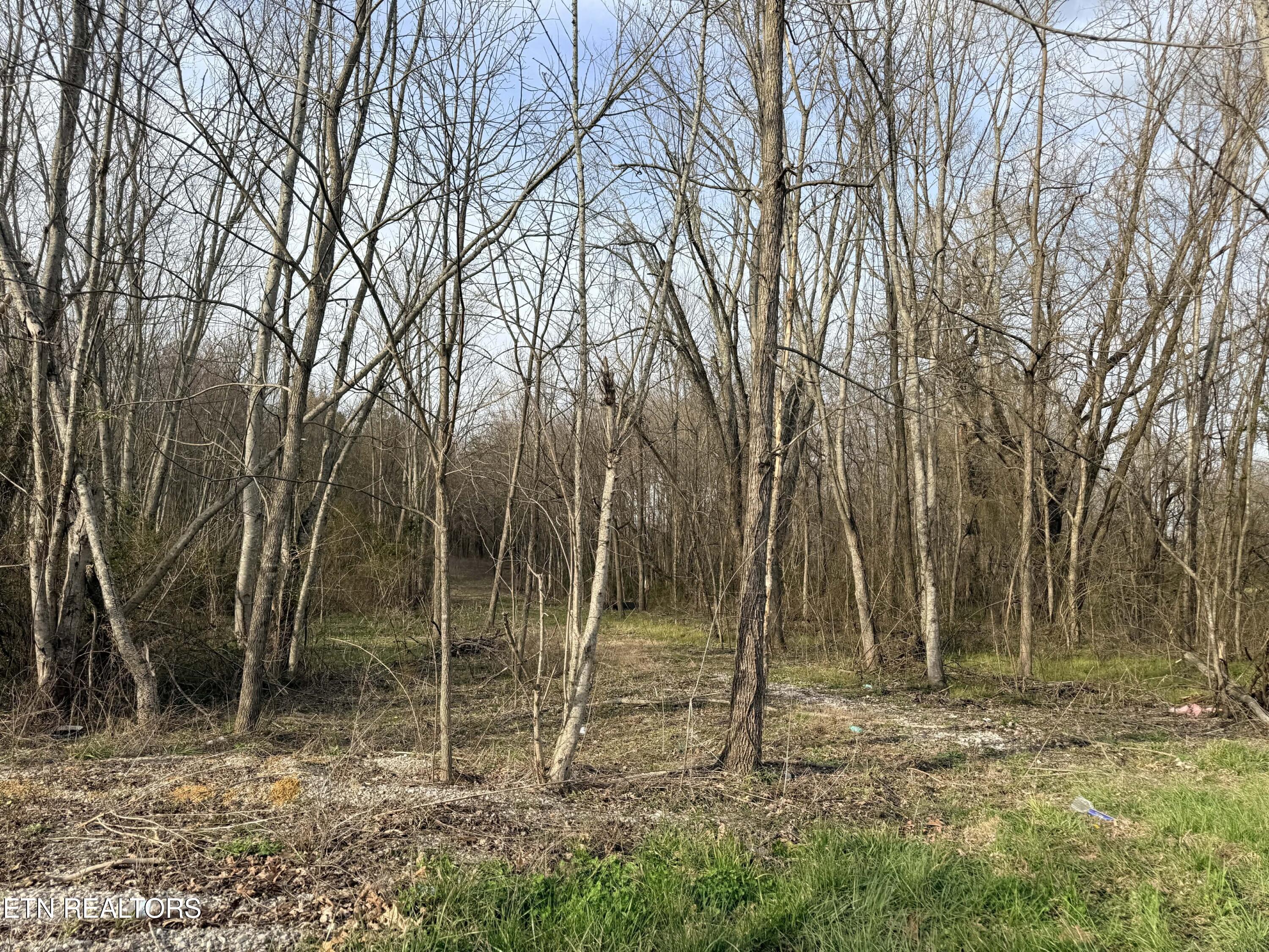 1115 Frank Campbell Road Jamestown, TN 38556 - Photo 6 of 6 f14f072b-c409-4f26-ba5a-34f165bf65e1