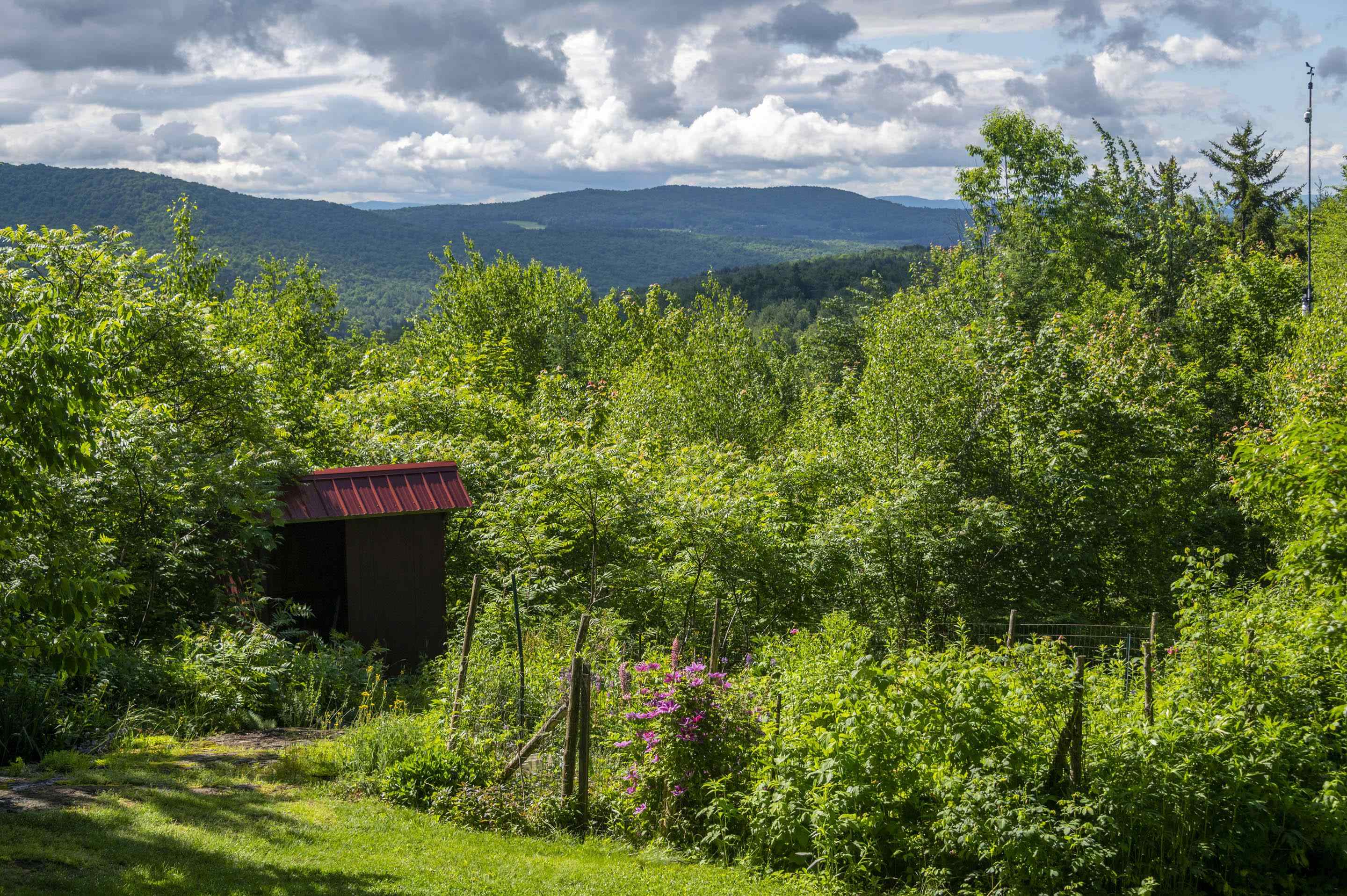 186 MacKenzie Road Worcester, VT 05682 - Photo 44 of 44