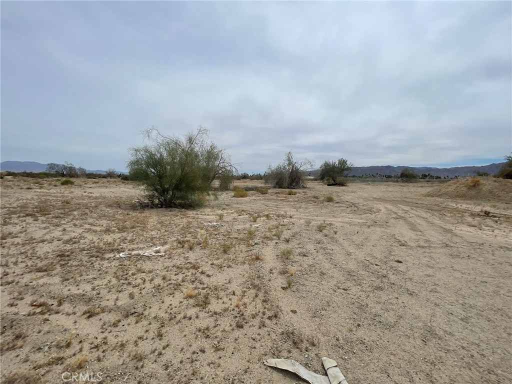 25550 Kaiser Road Desert Center, CA 92239 - Photo 6 of 13