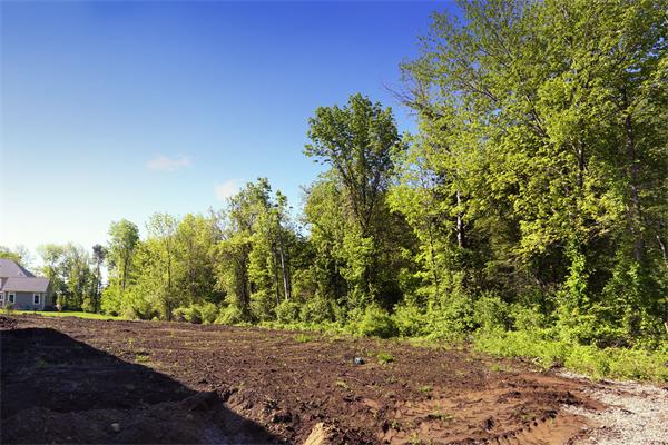 115 B Lakeshore Road Boxford, MA 01921 - Photo 21 of 21 a view of a yard with a tree