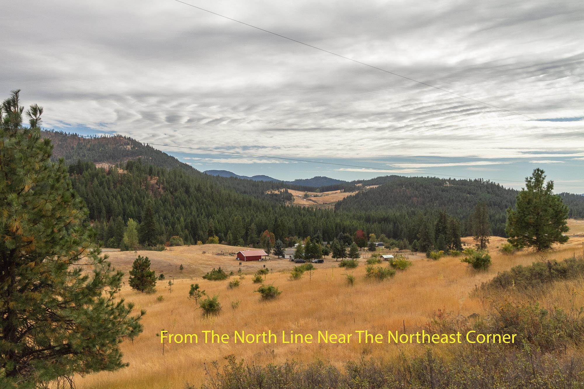 2604 Scott Road Rice, WA 99167 - Photo 48 of 50