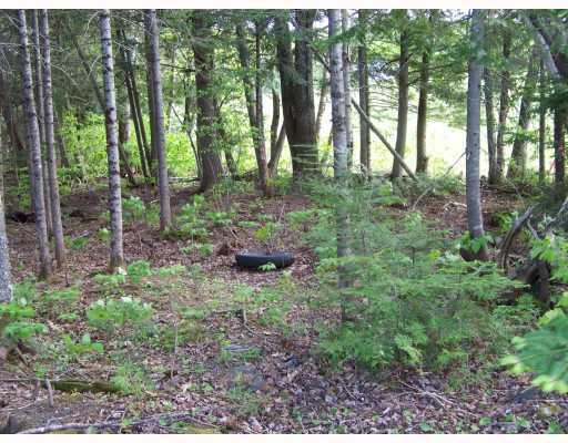Lot #3 Granite Ridge Rd Island Falls Island Falls, ME 04747 - Photo 8 of 8 Exterior Front.