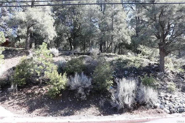 a view of a yard