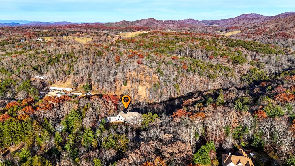 2351 Old Dial Road Morganton, GA 30560 - Photo 11 of 77