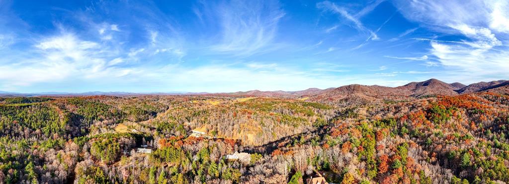 2351 Old Dial Road Morganton, GA 30560 - Photo 12 of 77