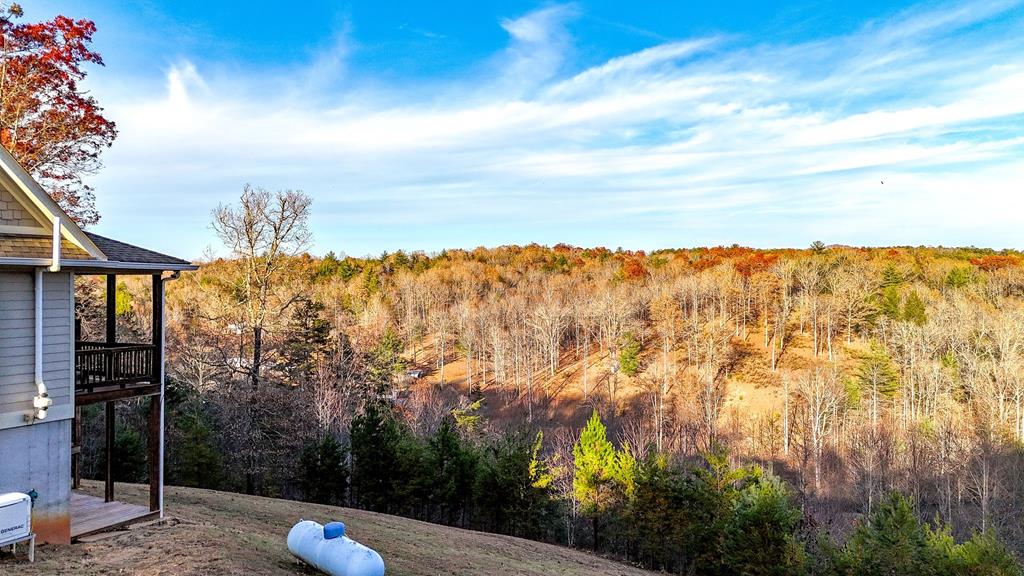 2351 Old Dial Road Morganton, GA 30560 - Photo 18 of 77