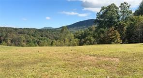 2351 Old Dial Road Morganton, GA 30560 - Photo 3 of 77