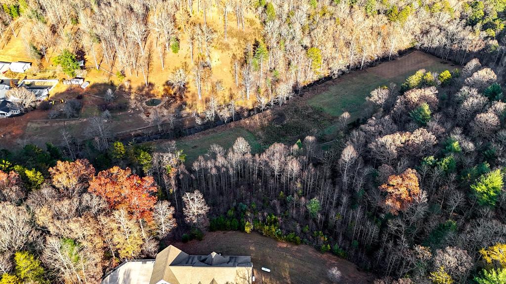 2351 Old Dial Road Morganton, GA 30560 - Photo 10 of 77