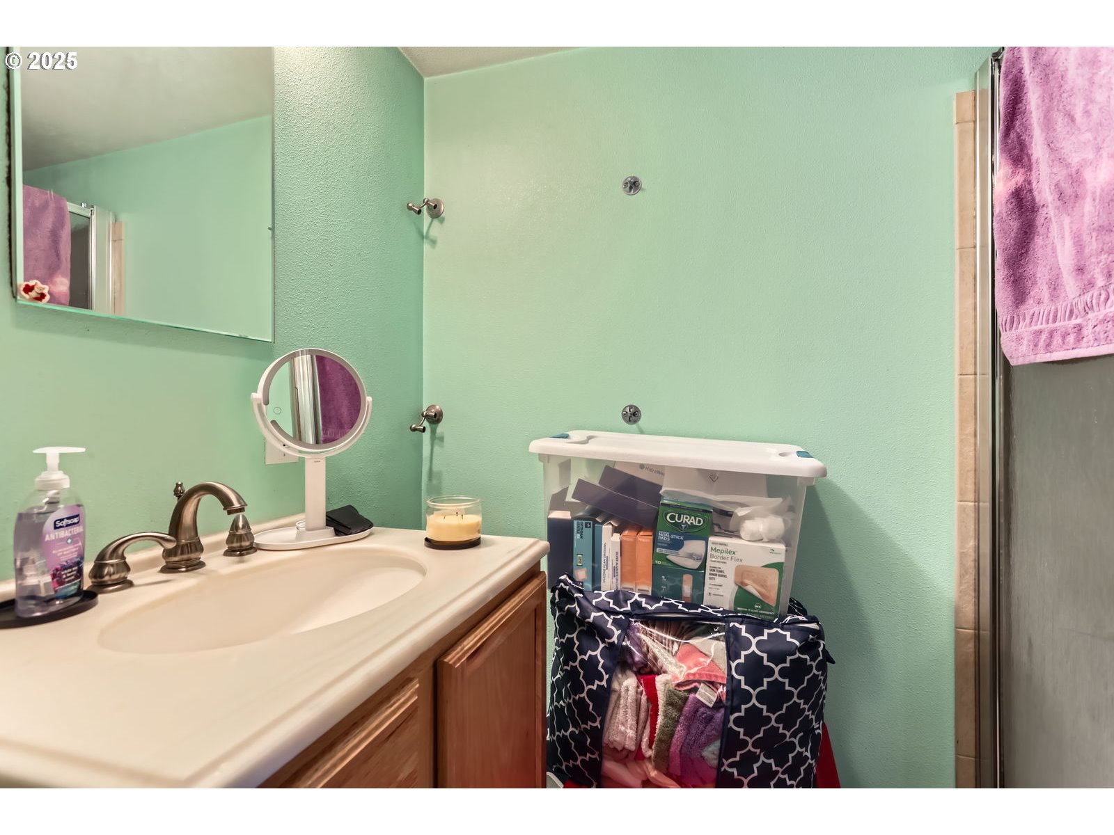 14031 Southeast Rhone Street Portland, OR 97236 - Photo 19 of 29 a bathroom with a sink and a mirror