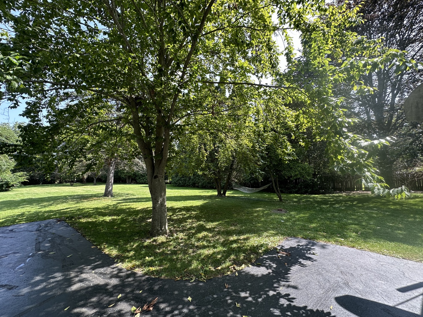 502 Raffel Road Woodstock, IL 60098 - Photo 23 of 24 a view of a park with large trees