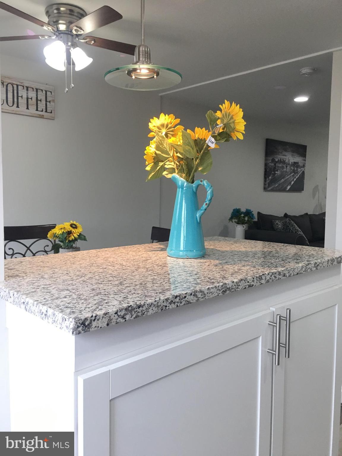 7968 Kavanagh Road Baltimore, MD 21222 - Photo 16 of 30 a view of a granite counter top a vase with flowers on a table