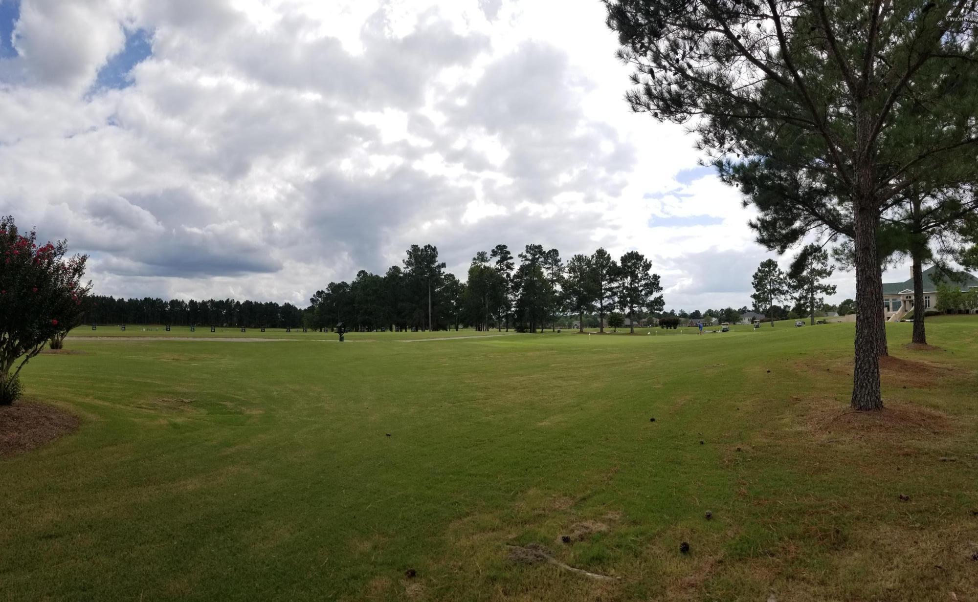 321 Neuchatel Road New Bern, NC 28562 - Photo 8 of 29 Driving Range w/ A Golf Membership