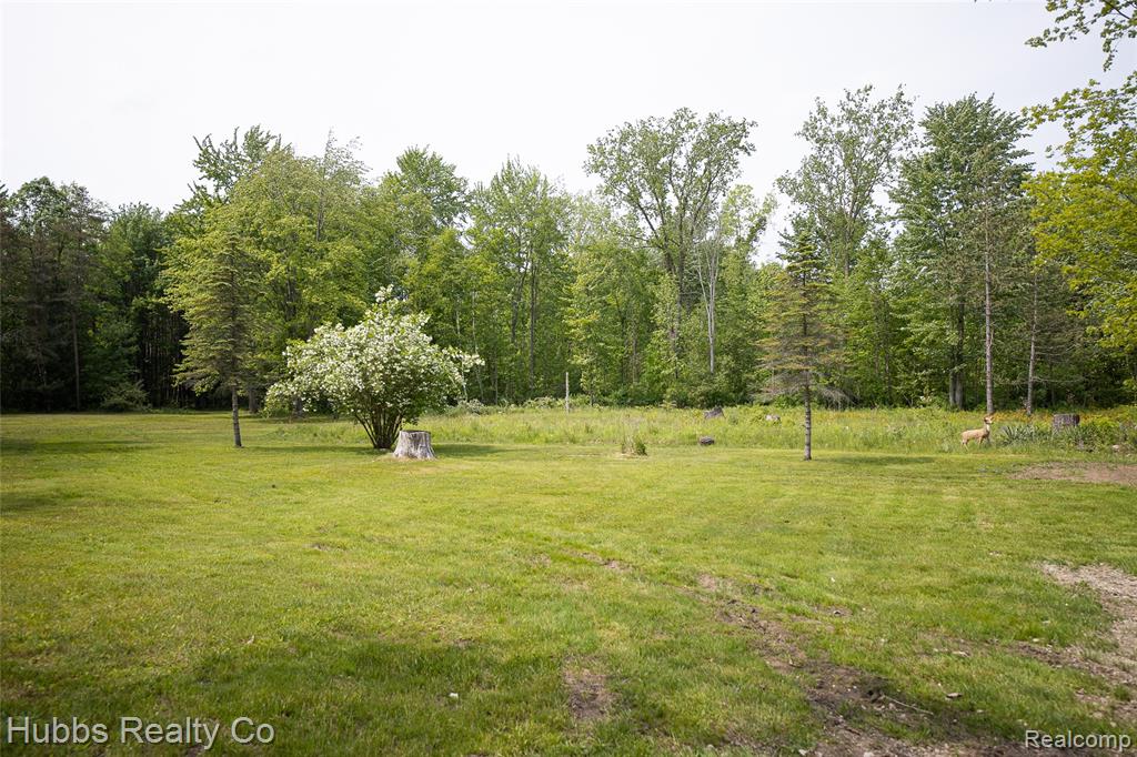 3960 Hanes Road Vassar, MI 48768 - Photo 59 of 75