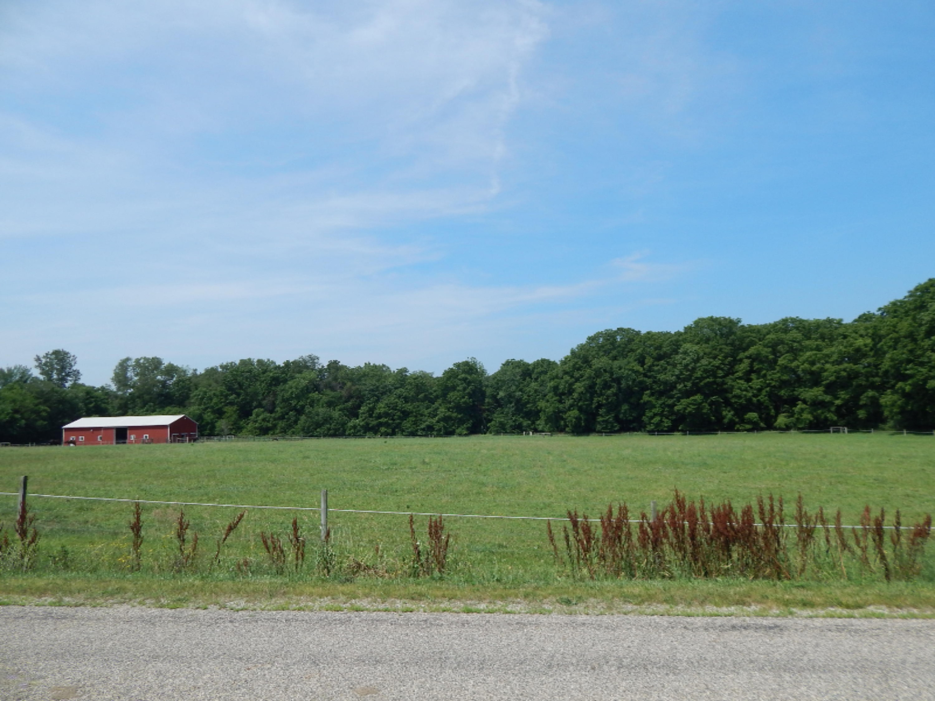 136 South Fillmore Road Coldwater, MI 49036 - Photo 10 of 48 DSCN4273