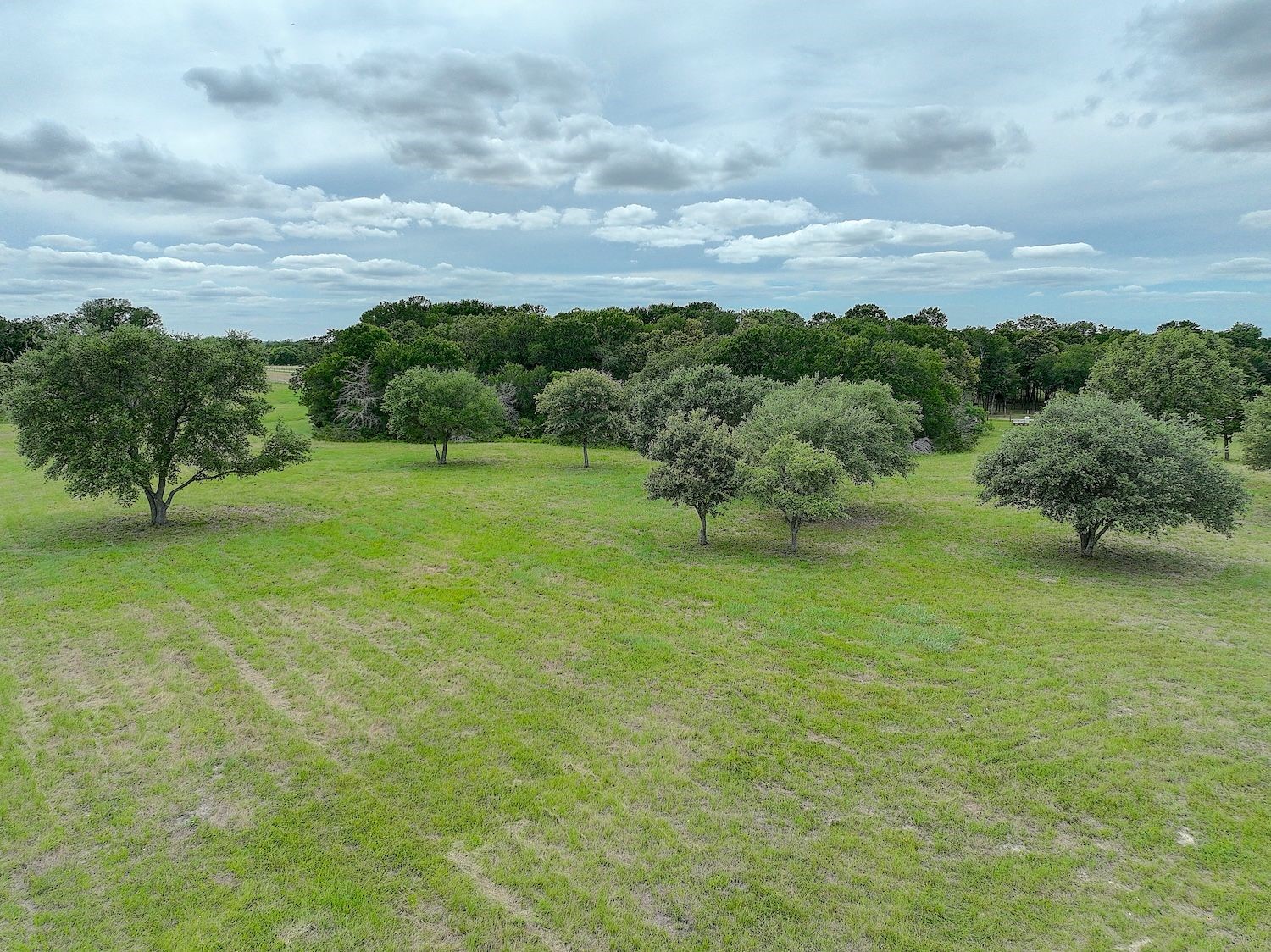 1928 Koether Road Carmine, TX 78932 - Photo 39 of 49 Aerial views of more pasture beauty