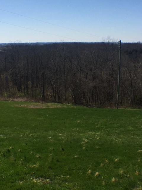 595 Mitts Road Williamstown, KY 41097 - Photo 4 of 22 Gallery Image 4