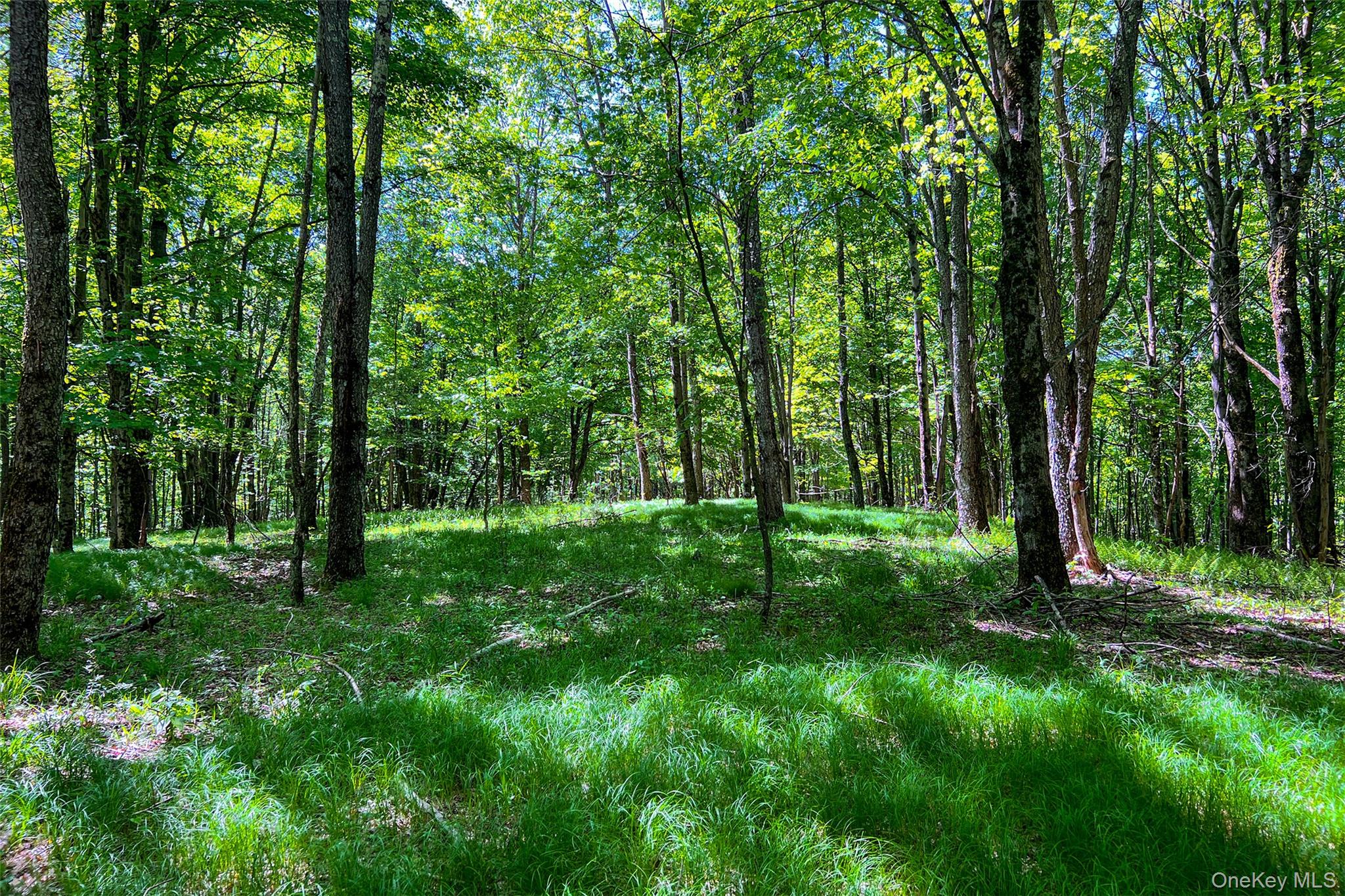 26 Federal Hill 2 Road Delhi, NY 13753 - Photo 24 of 50