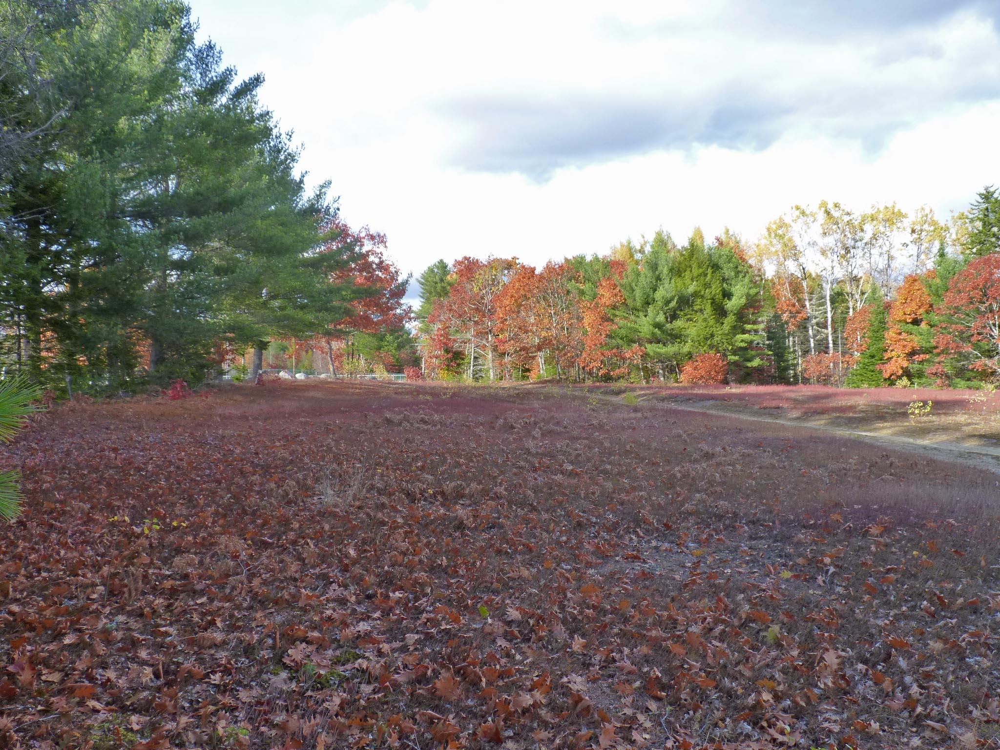 0 Pyle Road Ellsworth, ME 04605 - Photo 12 of 18 2d