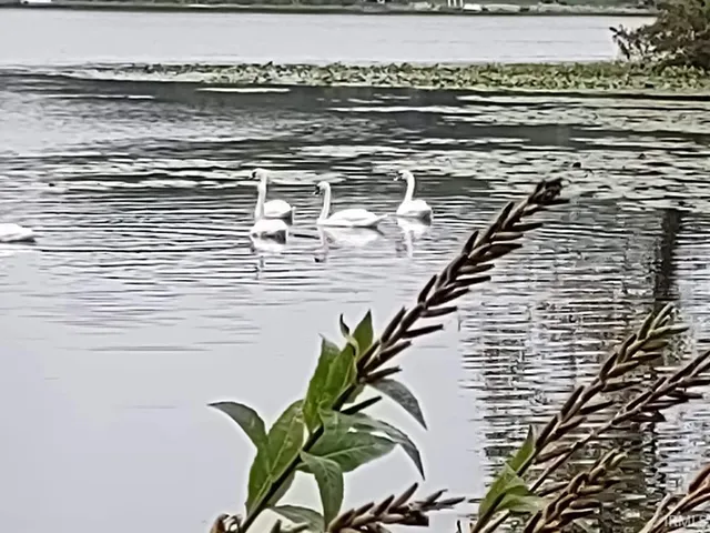 $449,000 | 9207 North Koher Road East, Syracuse, IN 46567