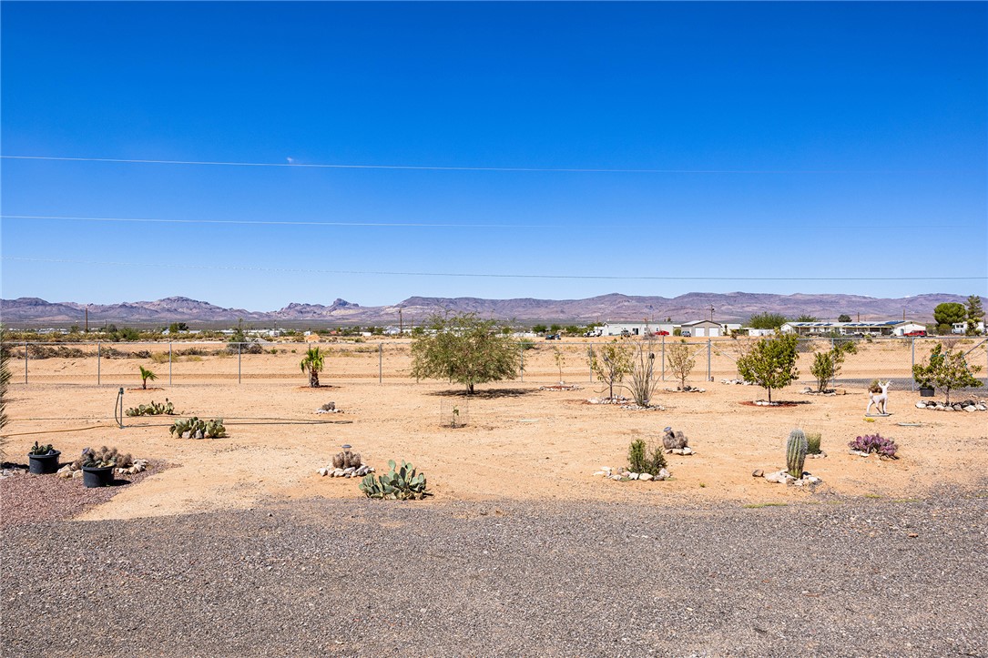 4206 Cordes Road Golden Valley, AZ 86413 - Photo 58 of 60 Expansive property featuring desert landscaping, including various cacti and trees, with a mountain backdrop