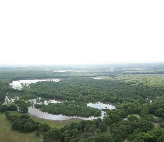 a table that has painting on the wall and a potted plant