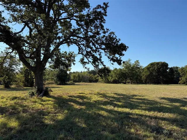 a view of outdoor space with trees all around