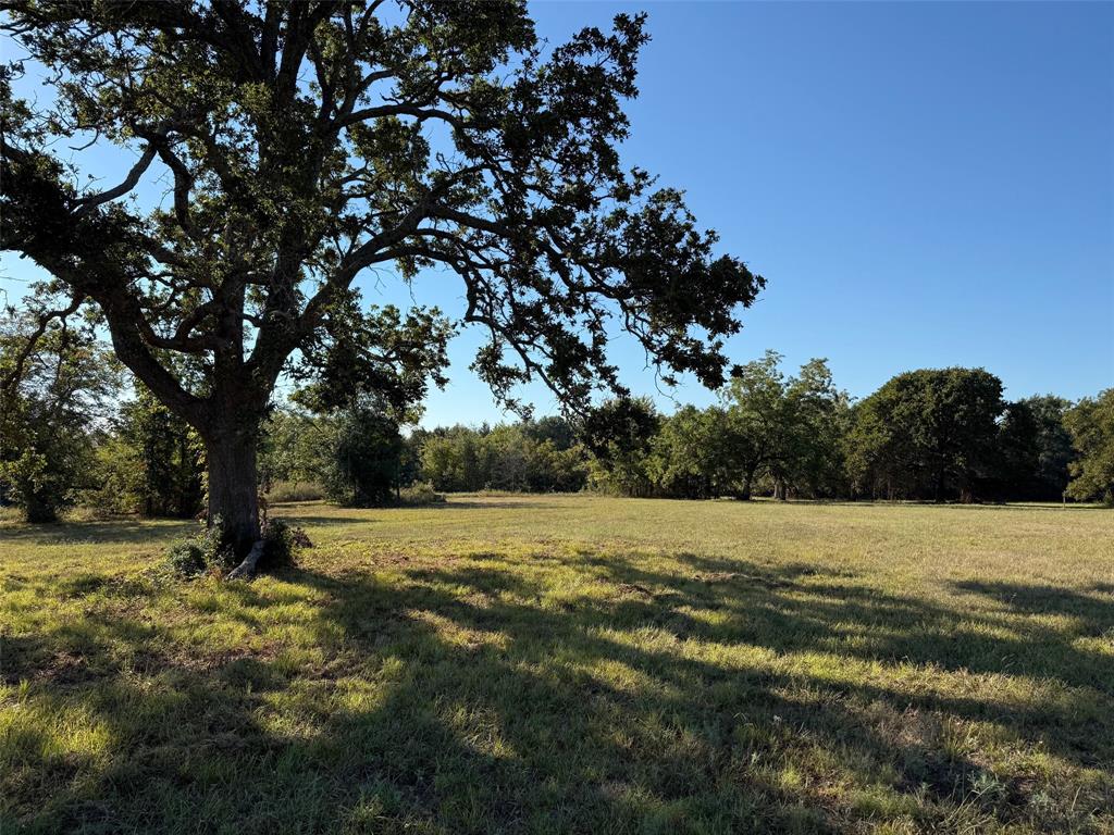 2102 County Road 2610 Bonham, TX 75418 - Photo 2 of 24 a view of outdoor space with trees all around