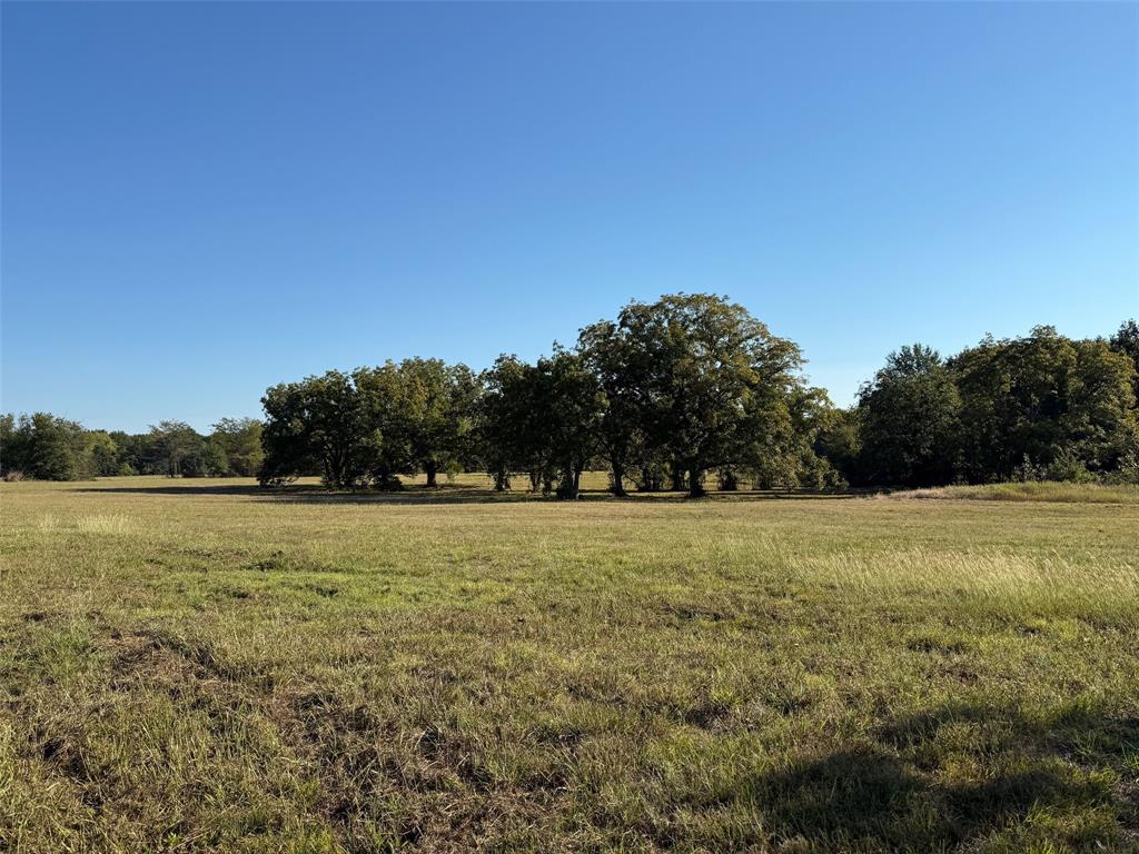 2102 County Road 2610 Bonham, TX 75418 - Photo 3 of 24 a view of a field with an ocean