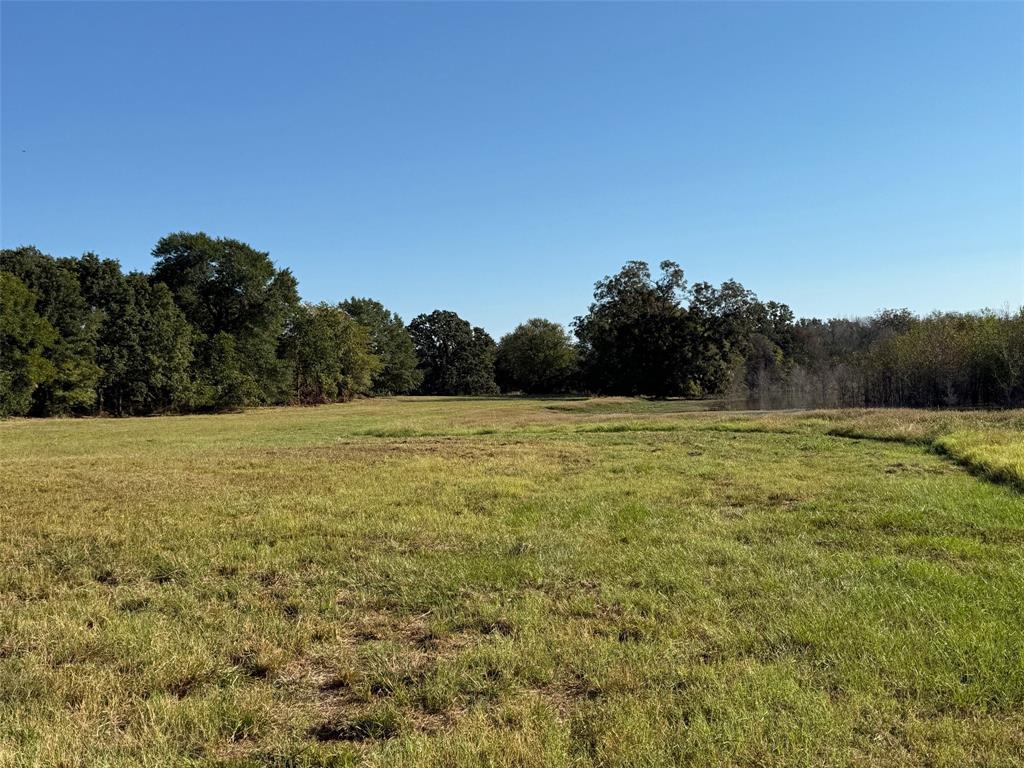 2102 County Road 2610 Bonham, TX 75418 - Photo 4 of 24 a view of a field with a tree