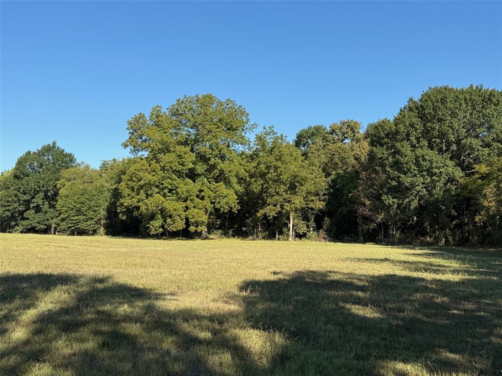 2102 County Road 2610 Bonham, TX 75418 - Photo 6 of 24 a view of swimming pool with a yard