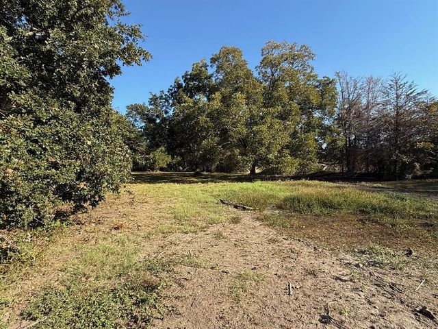 a view of yard with green space