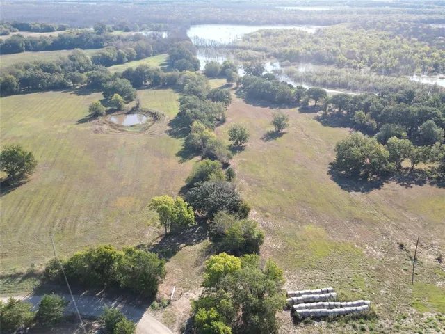 a view of a dry yard with green space